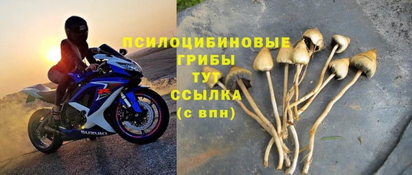 дурь Рославль