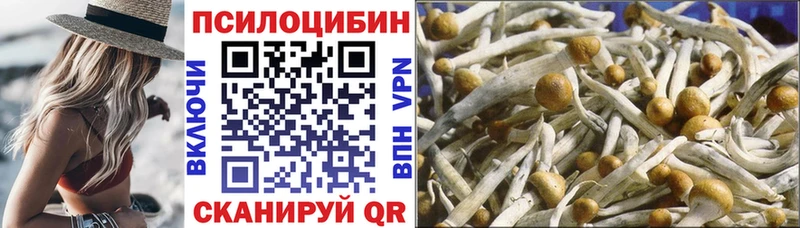 купить   Зубцов  MEGA tor  Псилоцибиновые грибы GOLDEN TEACHER 
